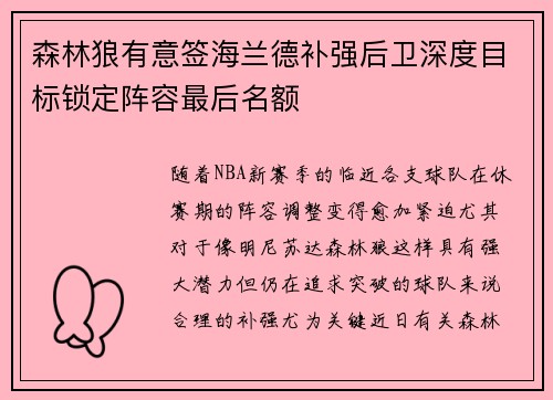 森林狼有意签海兰德补强后卫深度目标锁定阵容最后名额